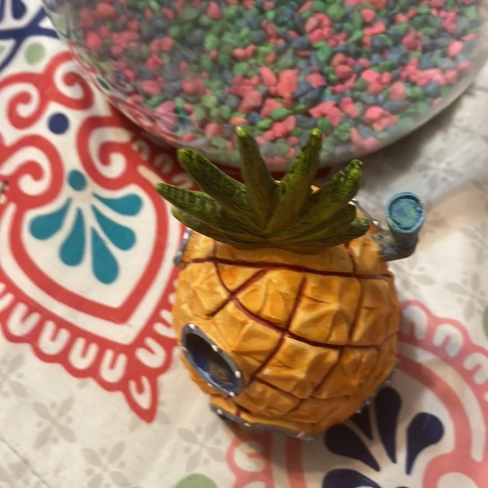 I’m am selling a small aquarium with a PLASTIC plant and a SpongeBob pineapple